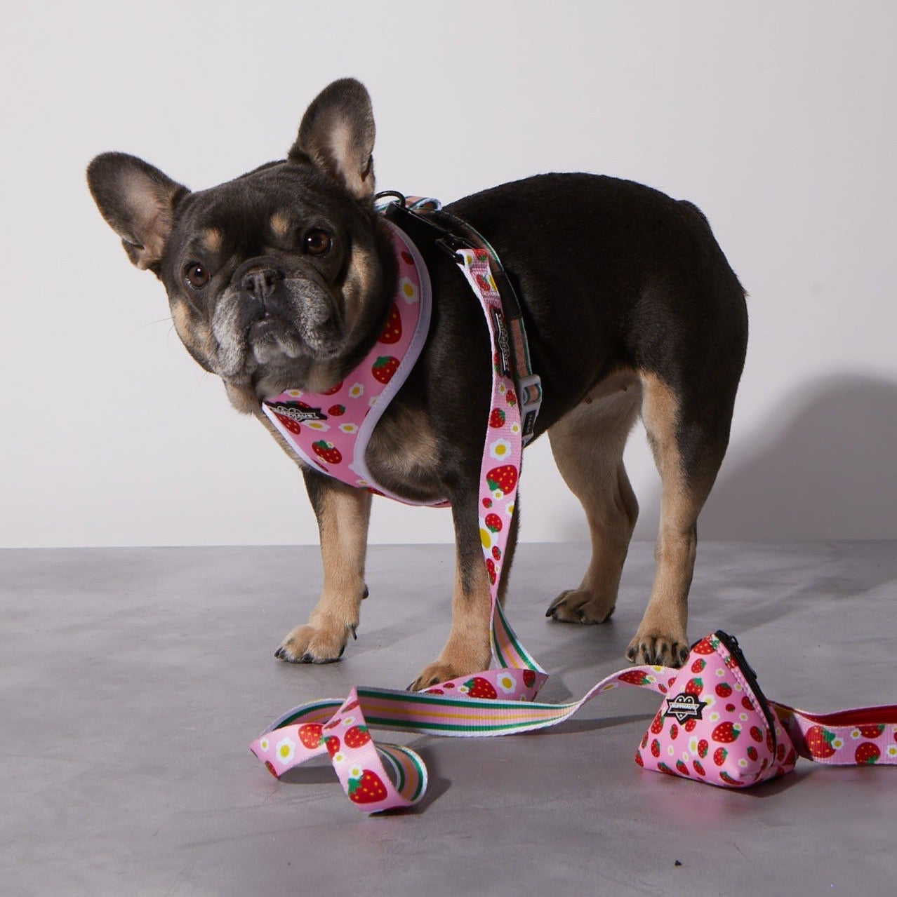 Strawberry Poop Bag Holder