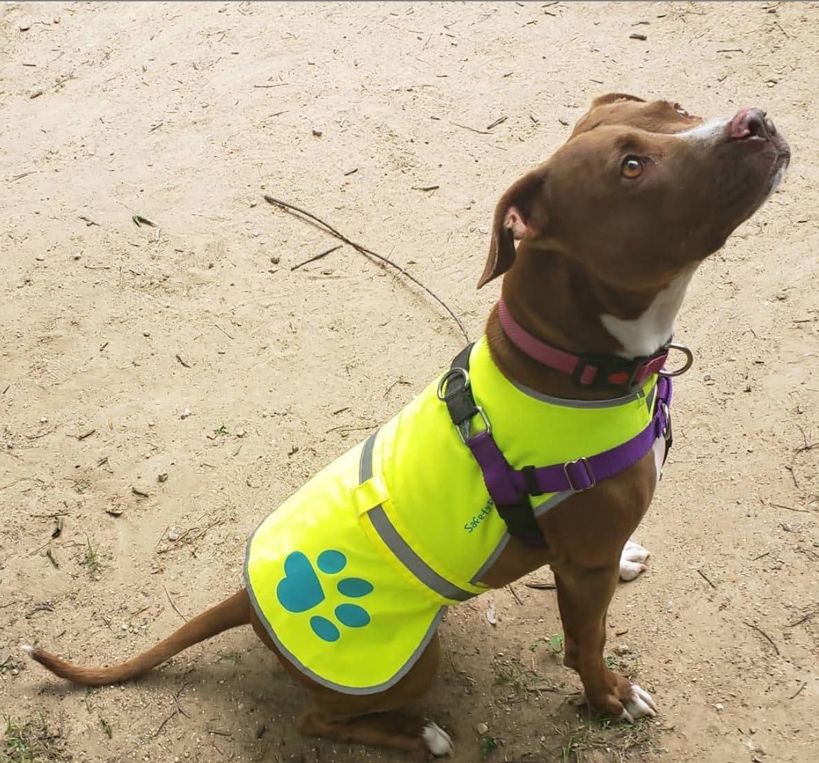 Reflective Dog Vest Hi-Vis L Size Yellow