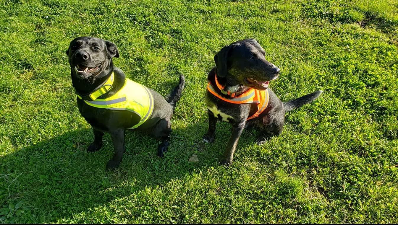 Lightweight Dog Vest Mid-Back Coverage 36.75 in Chest x 22 in Neck