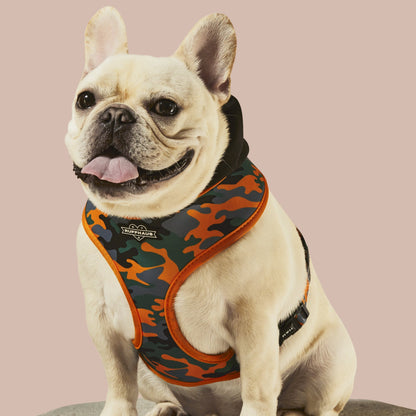 Camo QT Orange Hoodie Harness