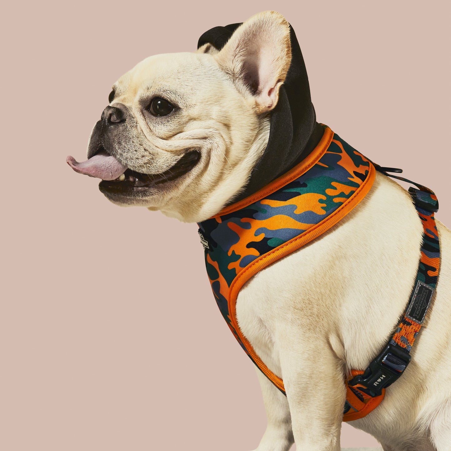 Camo QT Orange Hoodie Harness