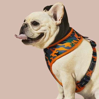 Camo QT Orange Hoodie Harness