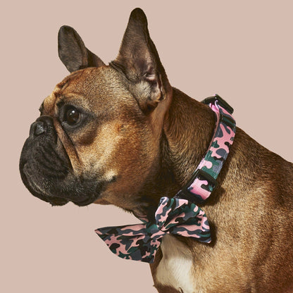 Camo QT Pink Collar and Bowtie