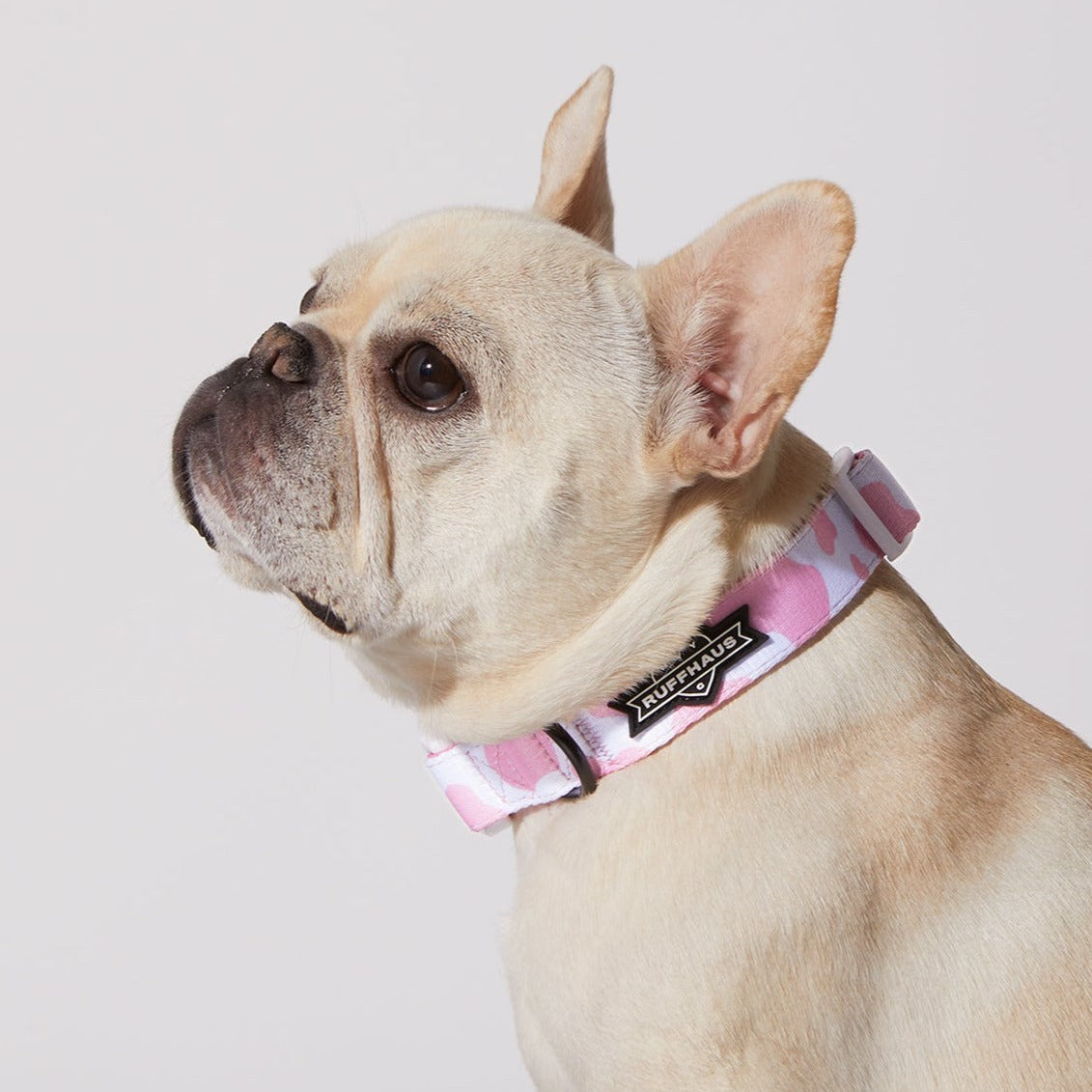 Pink Moo'd Collar & Bowtie