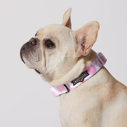 Pink Moo'd Collar & Bowtie