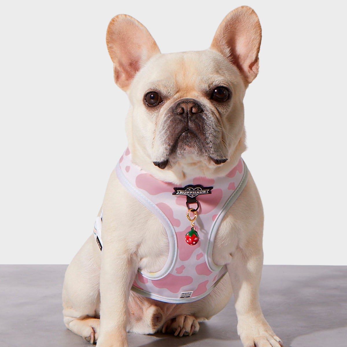 Strawberry Milk Reversible Harness