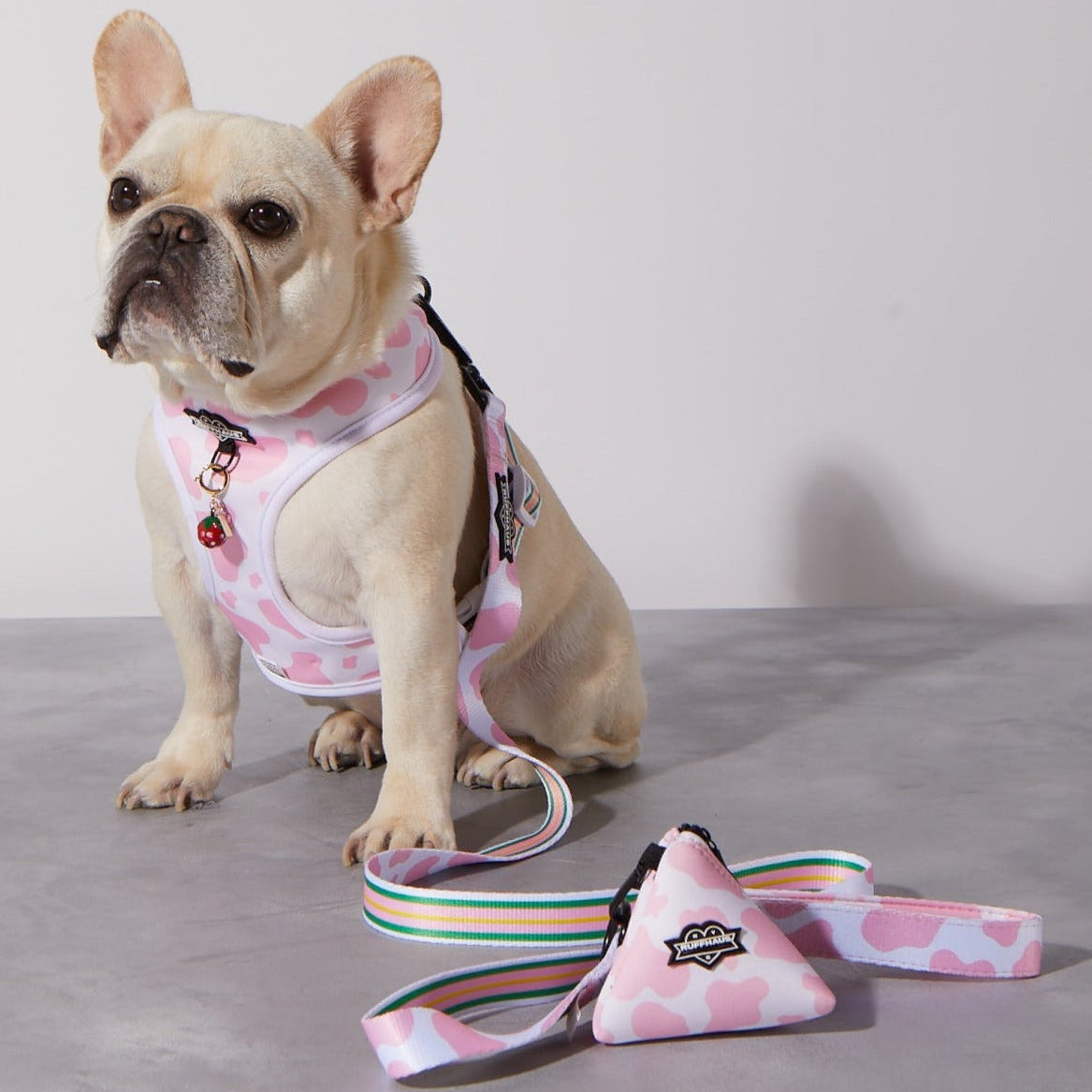 Pink Moo'd Dog Leash