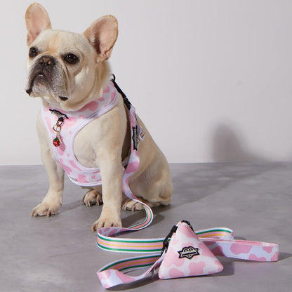 Pink Moo'd Dog Leash