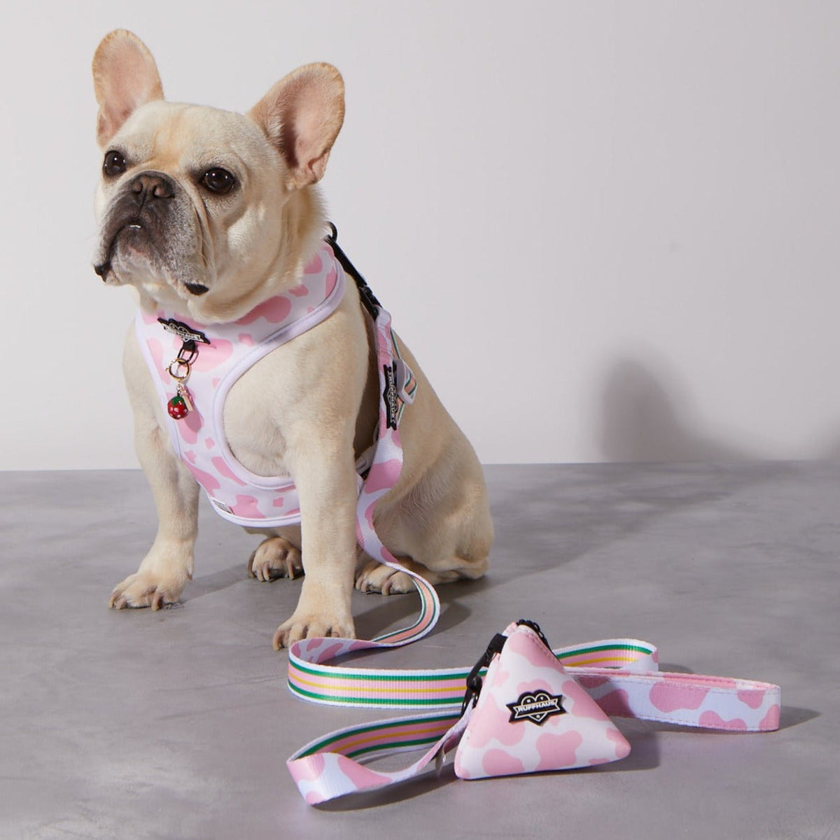 Strawberry Milk Reversible Harness