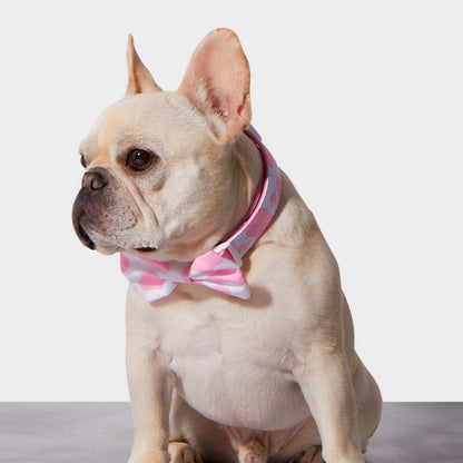 Pink Moo'd Collar & Bowtie