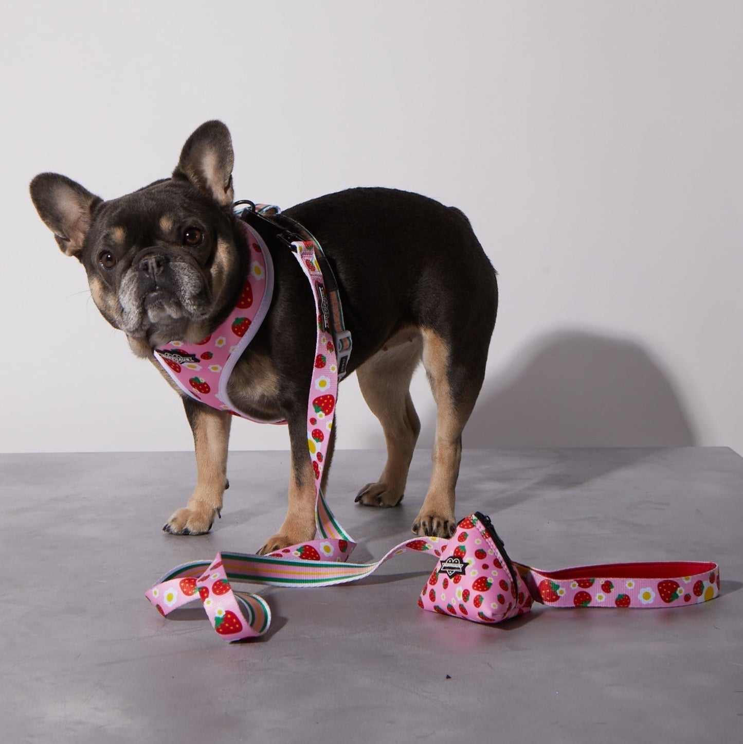 Strawberry Dog Leash