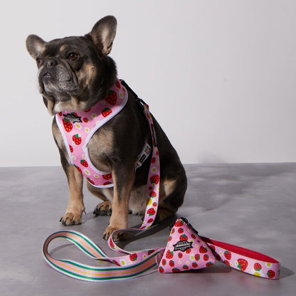 Strawberry Milk Reversible Harness