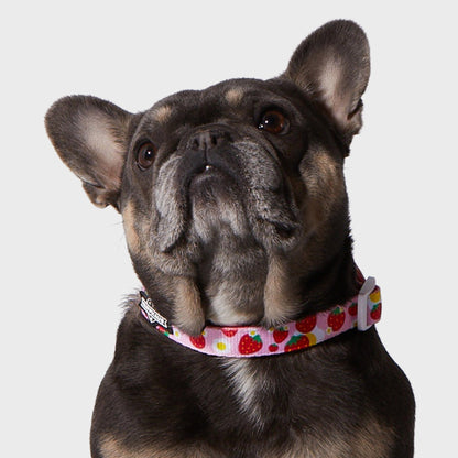 Strawberry Collar & Bowtie