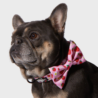 Strawberry Bowtie
