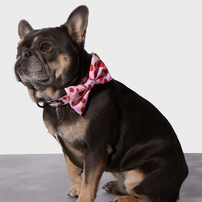 Strawberry Collar & Bowtie