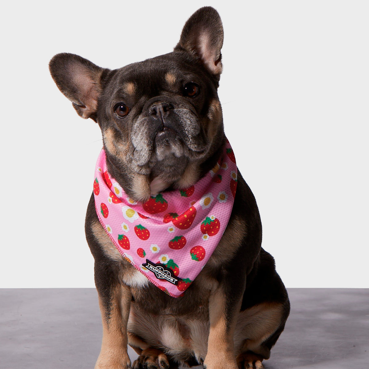 Strawberry Cooling Bandana