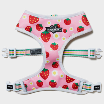 Strawberry Milk Reversible Harness