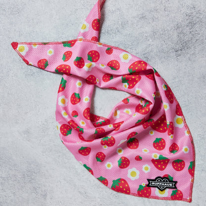 Strawberry Cooling Bandana