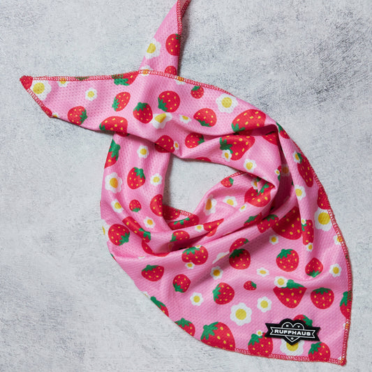 Strawberry Cooling Bandana