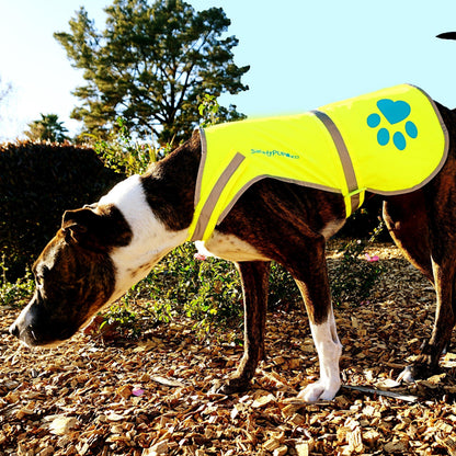 Reflective Dog Vest Hi-Vis L Size Yellow