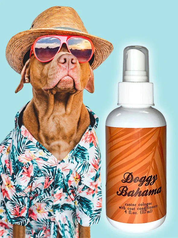 Doggy Bahama Boy (4 oz.)