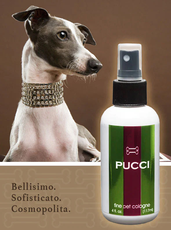 PUCCI (4 oz.)
