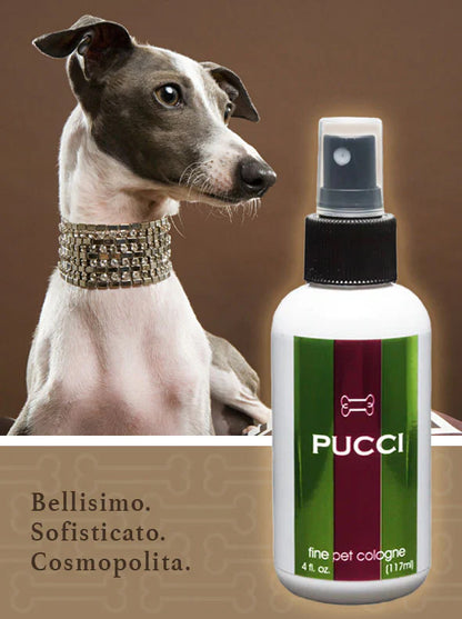 PUCCI (4 oz.)