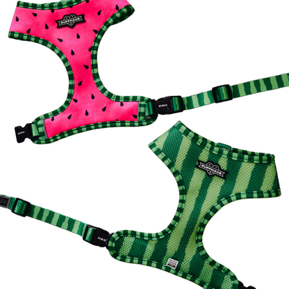 What-A-Melon Reversible Harness