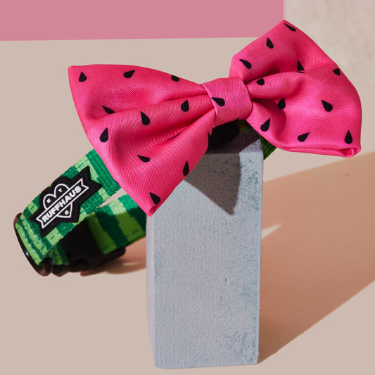 What-A-Melon Collar & Bowtie