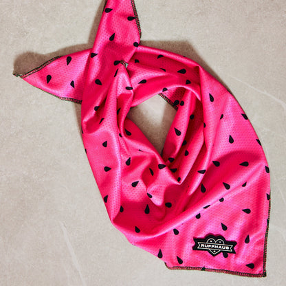 What-A-Melon Cooling Bandana
