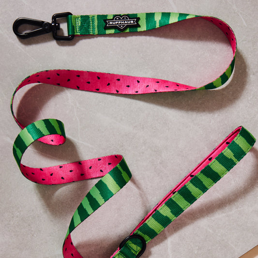 What-A-Melon Dog Leash