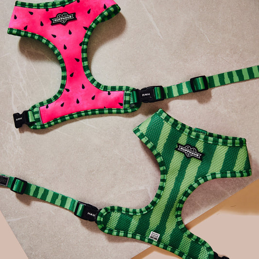 What-A-Melon Reversible Harness