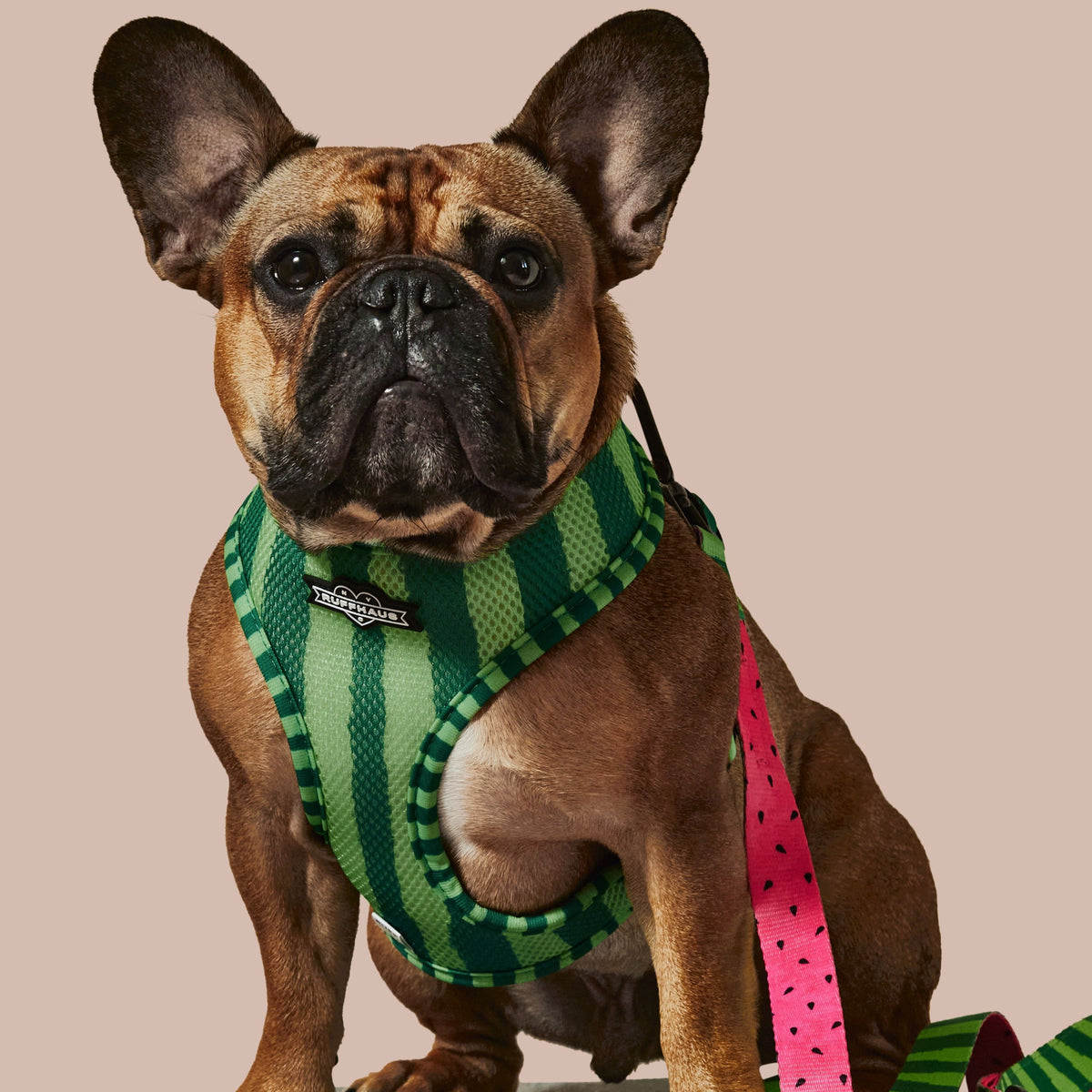 What-A-Melon Reversible Harness