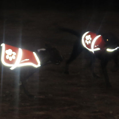 Reflective Dog Vest Hi-Vis XS Size 22.5 in Chest x 15 in Neck Pink