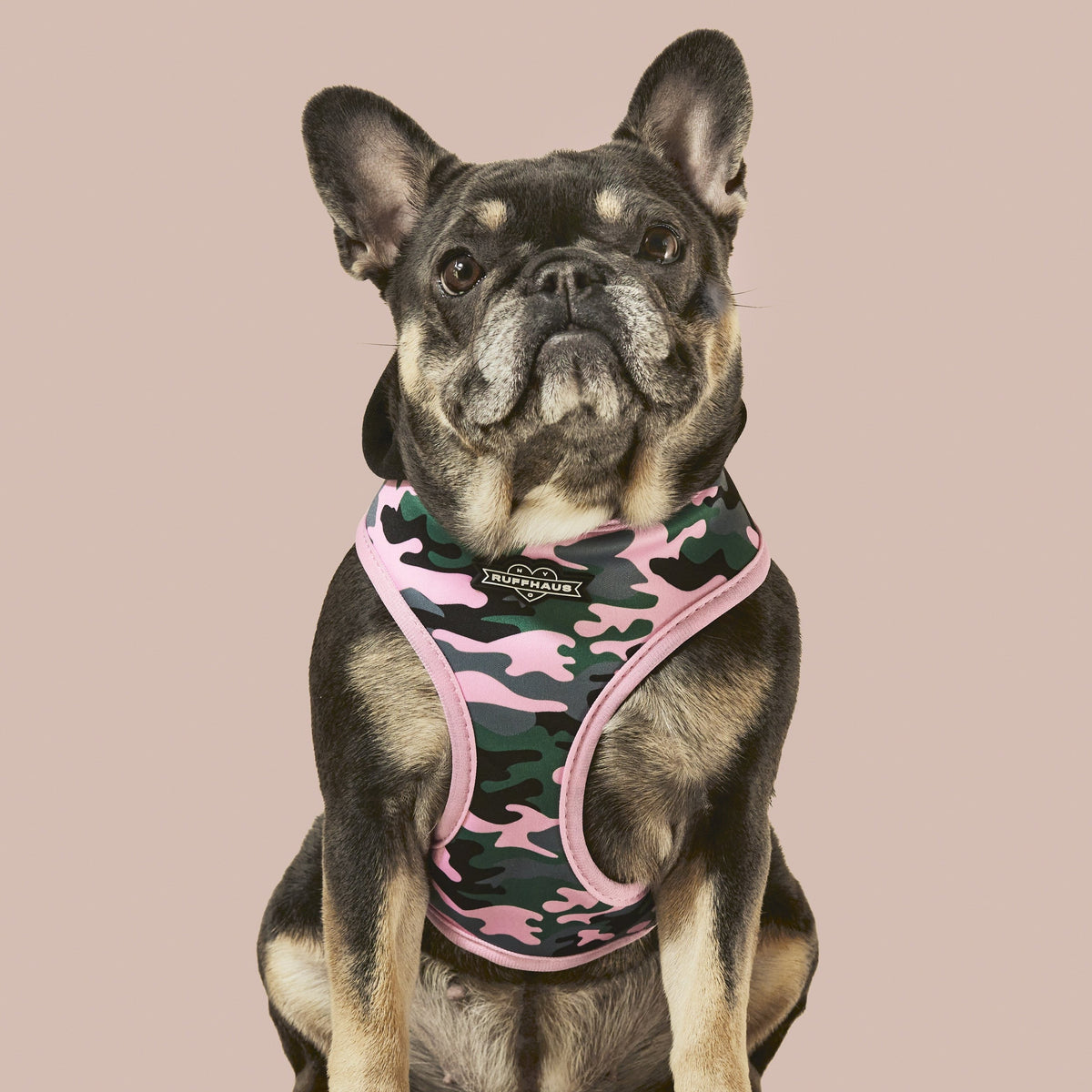Camo QT Pink Hoodie Harness