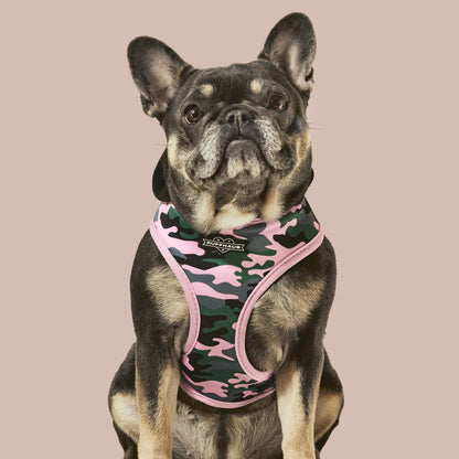 Camo QT Pink Hoodie Harness