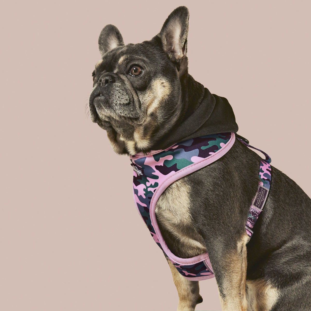 Camo QT Pink Hoodie Harness