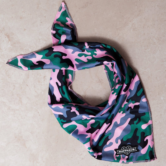 Camo QT Pink Cooling Bandana