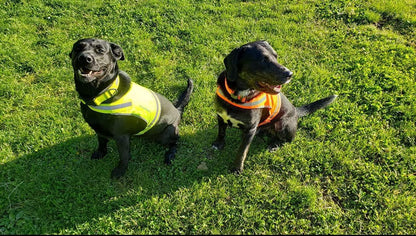 Lightweight Dog Vest Mid-Back Coverage 36.75 in Chest x 22 in Neck