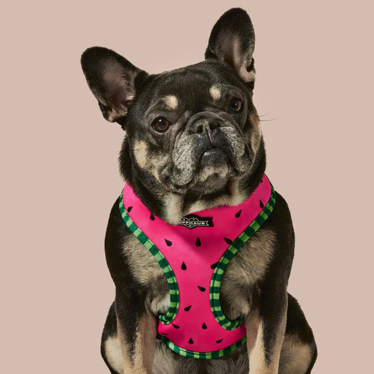 What-A-Melon Reversible Harness