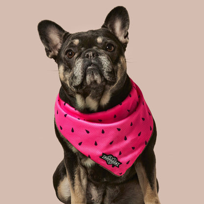 What-A-Melon Cooling Bandana