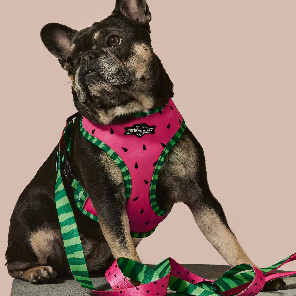 What-A-Melon Reversible Harness