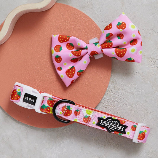 Strawberry Collar & Bowtie