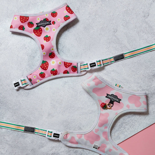 Strawberry Milk Reversible Harness